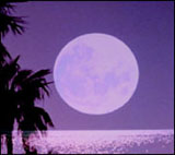 nghinhnguyen
