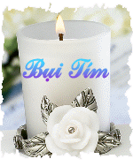Bụi Tím