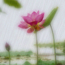 Liên Hương
