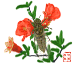 caoletrantranquoc